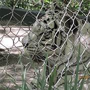 Picture 124